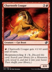 Chartooth Cougar