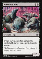 Ravenous Rats - Anthology Printing