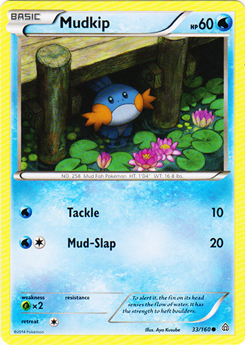 Mudkip - 33/160 - Common