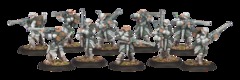 Houseguard Riflemen