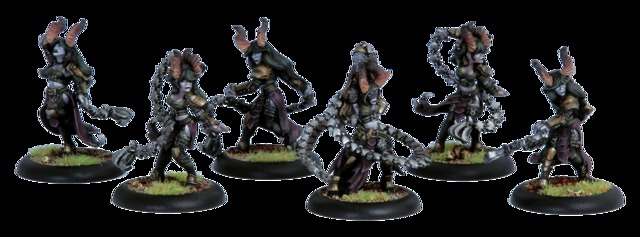 Satyxis Raiders Unit