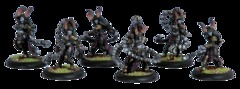 Satyxis Raiders Unit