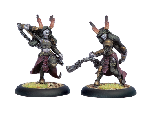 Satyxis Raiders