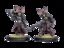 Satyxis Raiders