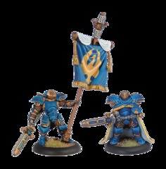 Stormblade Officer Standard Bearer