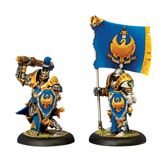 Sword Knight Officer Standard Bearer