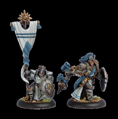 Precursor Knights Officer Standard Bearer