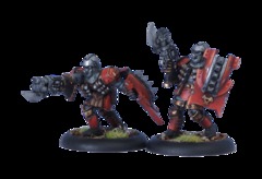 Assault Kommandos