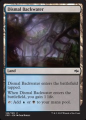 Dismal Backwater - Foil