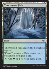 Thornwood Falls - Foil