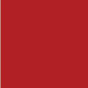 P3 Paint Line: Skorne Red