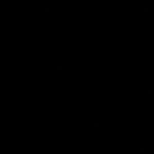 P3 Paint Line: Thamar Black