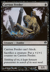 Carrion Feeder