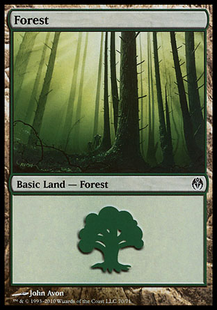 Forest (70)