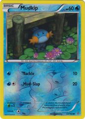 Mudkip - 33/160 - Common - Reverse Holo