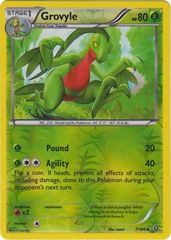 Grovyle - 7/160 - Uncommon - Reverse Holo