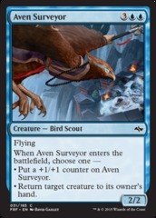 Aven Surveyor - Foil