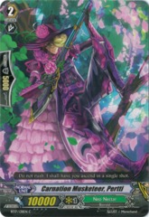 Carnation Musketeer, Pertti - BT17/138EN - C