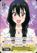 Great Disguise!? Seishiro - NK/W30-E004 - R