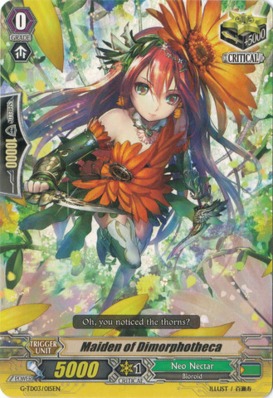 Maiden of Dimorphotheca - G-TD03/015EN
