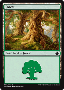 Forest (65) Forest (65)
