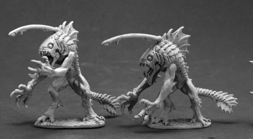 Tiik Warriors (2)