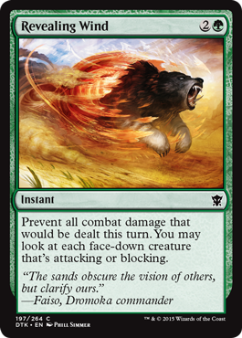 Revealing Wind - Foil