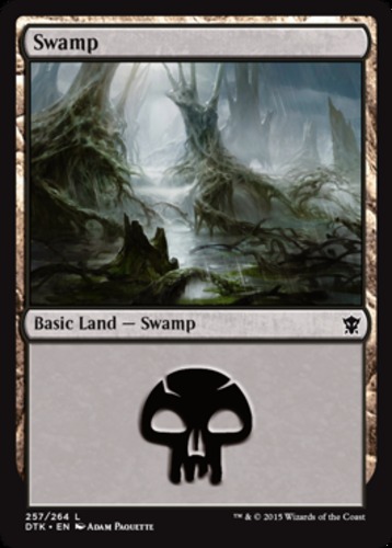 Swamp (257) - Foil ~ Near Mint Dragons of Tarkir MTG Magic