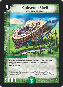 Coliseum Shell Coliseum Shell
