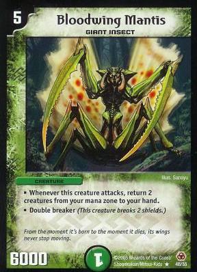 Bloodwing Mantis Bloodwing Mantis