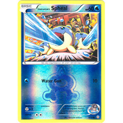 Team Aqua's Spheal - 3/34 - Common - Reverse Holo