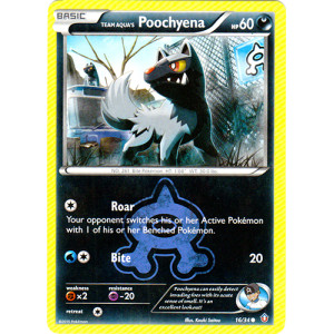 Team Aquas Poochyena - 16/34 - Common