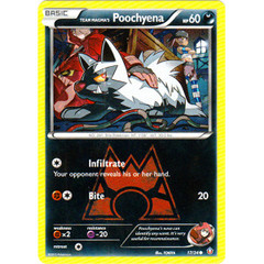 Team Magma's Poochyena - 17/34 - Common