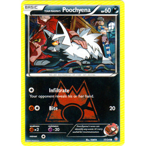 Team Magmas Poochyena - 17/34 - Common