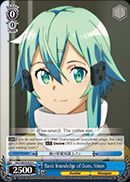 Basic Knowledge of Guns, Sinon - SAO/SE23-E25 - C