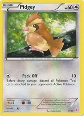 Pidgey - 11/30 - XY Trainer Kit (Wigglytuff)