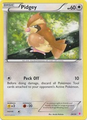 Pidgey - 29/30 - XY Trainer Kit (Wigglytuff)