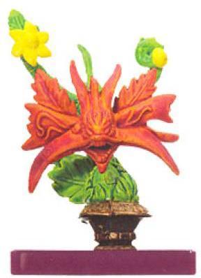 Succulent Creeper