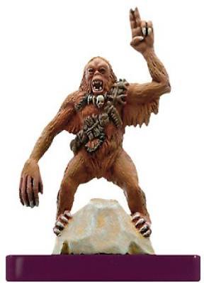 Rainforest Shaman