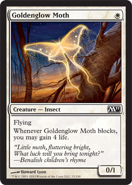 Goldenglow Moth