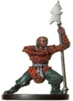 Xeph Warrior Angelfire