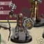 Dwarf Battlemaster
