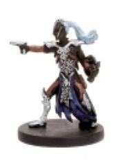 Drow Warrior