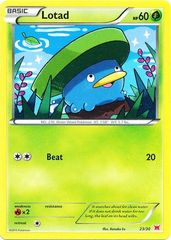 Lotad - 23/30 - XY Trainer Kit (Latias)