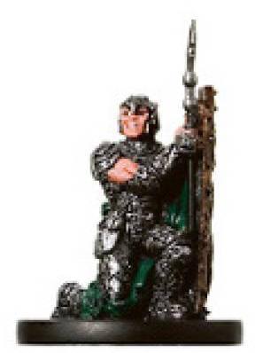 Shieldwall Solider