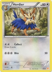 Herdier - 19/30 - BW Trainer Kit (Excadrill)