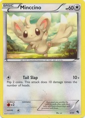 Minccino - 4/30 - BW Trainer Kit (Zoroark)