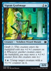 Vigean Graftmage - Foil