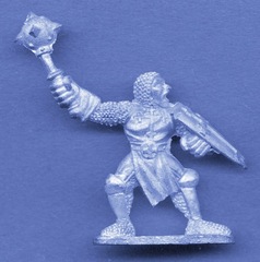 Northern Paladin
