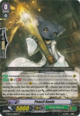 Pencil Koala - G-BT02/088EN - C
